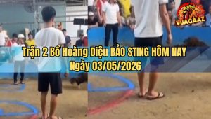 Trận 2 Bồ Hoàng Diệu BẢO STING HÔM NAY Ngày 03052026