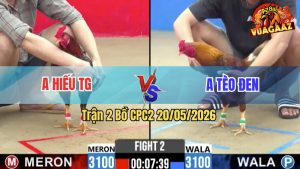 Trận 2 CPC2 20/05/2026 - Gà Chưa Thả Anh Hiếu Đã Dí Anh Tèo Đen Ăn 6