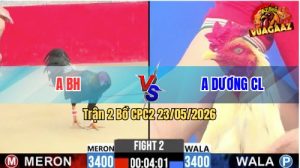 Trận 2 CPC2 23/05/2026 - Gà Điều Có Pha Gồng Gánh Cứu Chủ