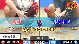 Trận 2 CPC2 27/05/2026 - Idol Bảo Sting Chấp Kèo Lạ Và Cái Kết