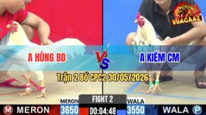 Trận 2 CPC2 30/05/2026 - Gà Anh Kiểm Cà Mau Nhấp Mấy Chân Lụm Tiền