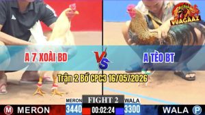 Trận 2 CPC3 16/05/2026 - Anh Bảy Xoài Đụng Độ Với Anh Tèo Bến Tre