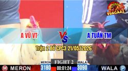 Trận 2 CPC3 21/05/2026 - Gà Điều Anh Tuấn TM Đá Canh Chặn Quá Tốt