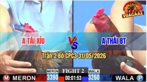 Trận 2 CPC3 31/05/2026 - Gà Anh Thái Gồng Gánh Tới Phút 90