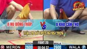 Trận 20 Bồ CPC2 16/5/2026 - Nu Đồng Tháp Ra Sân Trận Đầu Gặp Rắc Rối Từ Trận Đầu Tiên Và Cái Kết Là Chung Tiền