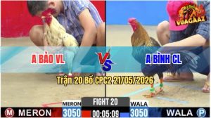 Trận 20 CPC2 21/05/2026 - Gà Bướm Anh Bảo Canh Nạp Đúng 3 Cước