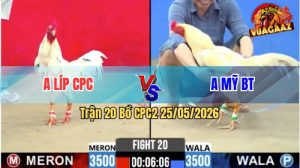 Trận 20 CPC2 25/05/2026 - Gà Bướm Anh Líp Canh Đá Mu Lưng Lụm Tiền