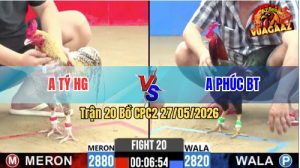 Trận 20 CPC2 27/05/2026 - Trận Hoà Mãn Nhãn Giữa Anh Tý Và Anh Phúc