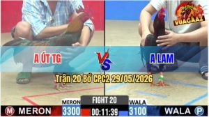 Trận 20 CPC2 29/05/2026 - Gà Chưa Thả Anh Lam Đã Bị Dí Bạc