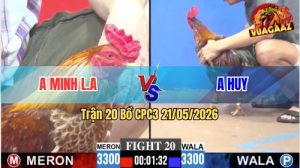 Trận 20 CPC3 21/05/2026 - Gà Điều Xanh Đá Canh Chặn Quá Khôn Khéo