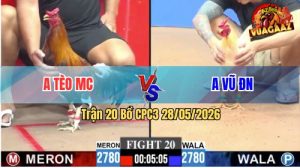 Trận 20 CPC3 28/05/2026 - Anh Vũ Đồng Nai Giành Chiến Thắng Vất Vả