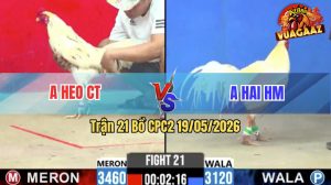 Trận 21 CPC2 19/05/2026 - Anh Hai HM Chấp Ngông Bị Anh Heo Hạ Đẹp