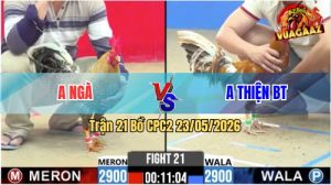 Trận 21 CPC2 23/05/2026 - Gà Khét Anh Thiện BT Đá Đâm Như Giang Hồ