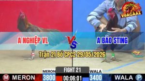 Trận 21 CPC2 29/05/2026 - Anh Bảo Sting Chấp Ngông Thua Đau Đớn
