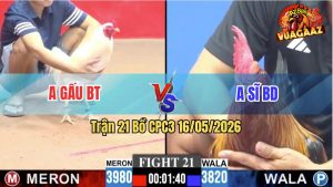 Trận 21 CPC3 16/05/2026 - Gà Bướm Anh Gấu Đá Không Cho Xanh Cơ Hội