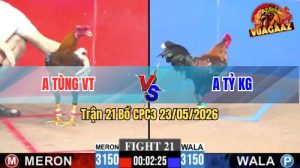 Trận 21 CPC3 23/05/2026 - Gà Que Anh Tùng VT Đá Đòn Quá Đau