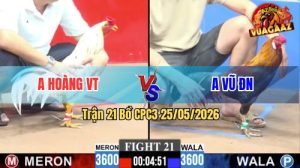 Trận 21 CPC3 25/05/2026 - Gà Điều Anh Vũ Đá Chân Nào Cũng Dính Cựa