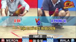 Trận 22 CPC2 19/05/2026 - Gà Cú Anh BH Đá Không Cho Đối Thủ Cơ Hội