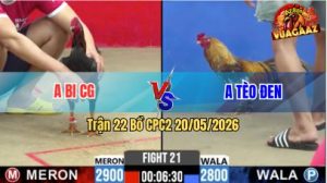 Trận 22 CPC2 20/05/2026 - Gà Anh Tèo Đen Đá Canh Chặn Quá Khéo Léo