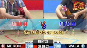 Trận 22 CPC2 21/05/2026 - Gà Anh Thái Đá Toàn Canh Đâm Mu Lưng