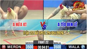 Trận 22 CPC2 29/05/2026 - Gà Anh Tèo Đen Lê Đá Chưa Tới 1 Tay Nước