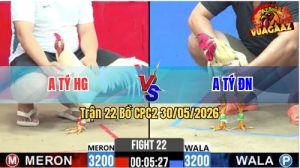 Trận 22 CPC2 30/05/2026 - Gà Anh Tý Tránh Né Khôn Khéo Như Người