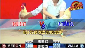 Trận 22 CPC2 31/05/2026 - Gà Bướm Anh Tuấn Đá Chân Cựa Quá Tịch
