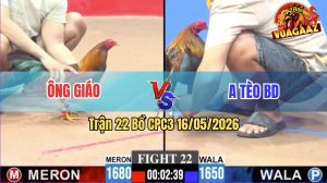 Trận 22 CPC3 16/05/2026 - Gà Ông Giáo Vào Đá Vài Tay Nước Lụm Tiền