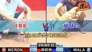 Trận 22 CPC3 18/05/2026 - Gà Bồ C3 Đá Đâm Toàn Cựa Nghiệt