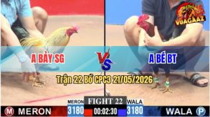Trận 22 CPC3 21/05/2026 - Gà Anh Bé Bến Tre Có Chân Phản Quá Hay