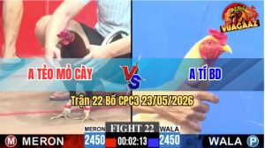 Trận 22 CPC3 23/05/2026 - Gà Anh Tẻo Mỏ Cày Đâm Như Giang Hồ