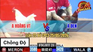Trận 22 CPC3 25/05/2026 - Anh Đen Lụm Luôn Gà Chồng Độ Của Anh Hoàng