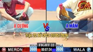 Trận 22 CPC3 31/05/2026 - Anh Kiểm Cà Mau Nài Gà Quá Hay