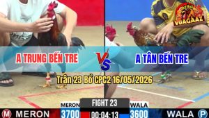 Trận 23 Bồ CPC2 16/5/2026 - Gà Bông Anh Kiểm Bị Đè Bạc Ra Sân Đá Như Cái Máy Đâm Đỏ Về Dĩ Vãng