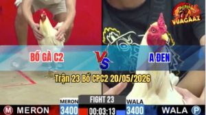 Trận 23 CPC2 20/05/2026 - Bồ Gà C2 Làm Thịt Anh Đen Nhanh Gọn