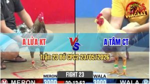 Trận 23 CPC2 23/05/2026 - Anh Lửa KT Thành Công Hạ Đẹp Anh Tâm CT