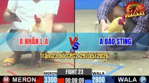 Trận 23 CPC2 29/05/2026 - Idol Bảo Sting Chấp 5 Chấm Mà Đá Bao Thấm