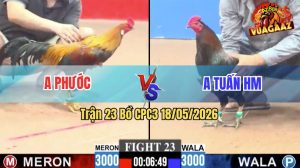 Trận 23 CPC3 18/05/2026 - Gà Điều Cọp Anh Phước Đá Đâm Như Sát Thủ