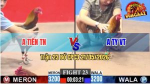 Trận 23 CPC3 21/05/2026 - Gà Anh Ty VT Nhấc Chân Là Dính Cựa