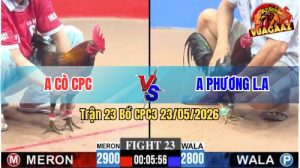 Trận 23 CPC3 23/05/2026 - Anh Phương Long An Hạ Đẹp Anh Cò CPC