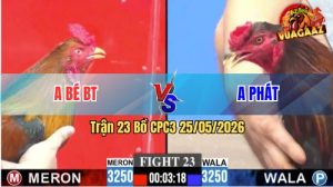 Trận 23 CPC3 25/05/2026 - Gà Điều Anh Bé Đá Mấy Chân Lụm Tiền