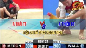 Trận 24 CPC2 21/05/2026 - Anh Thiện Chấp Ngông Bị Anh Thái Lụm