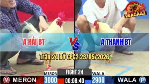 Trận 24 CPC2 23/05/2026 - Chú Mỹ Thể Hiện Tài Nghệ Nài Gà Quá Đẳng Cấp