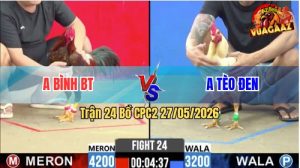 Trận 24 CPC2 27/05/2026 - Anh Bình Lụm Anh Tèo Đen Vì Tội Chấp Ngông