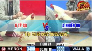 Trận 24 CPC2 28/05/2026 - Gà Anh Nhiên Có Chân Cựa Chí Mạng