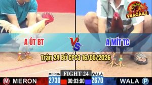 Trận 24 CPC3 16/05/2026 - Gà Điều Idol Mít Trà Cú Phản Kèo Quá Hay