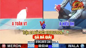Trận 24 CPC3 17/05/2026 - Gà Bướm Anh Toàn Đá Điềm Tĩnh Ăn Dễ