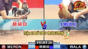 Trận 24 CPC3 18/05/2026 - Bồ Gà C3 Quá Hừng, Đá Đâu Thắng Đó