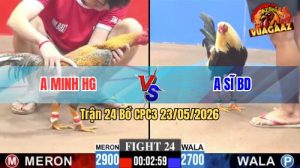 Trận 24 CPC3 23/05/2026 - Gà Anh Sĩ Bình Dương Thắng Trong 2 Chân