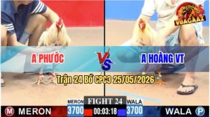 Trận 24 CPC3 25/05/2026 - Gà Anh Hoàng Canh Chặn Đâm 1 Cây Nghiệt